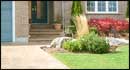 Steps